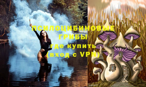 бутират Зеленодольск