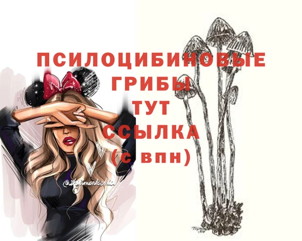 mix Зеленокумск