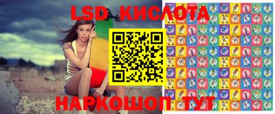 крисы Аргун