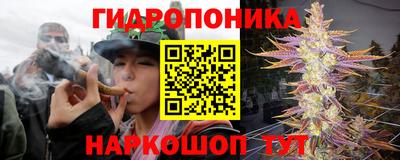 шишки Апрелевка