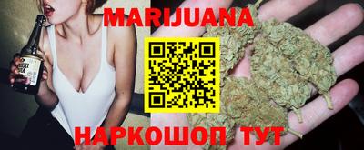 крисы Аргун