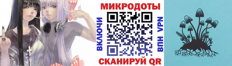 Псилоцибиновые грибы Psilocybine cubensis  Солнечногорск 
