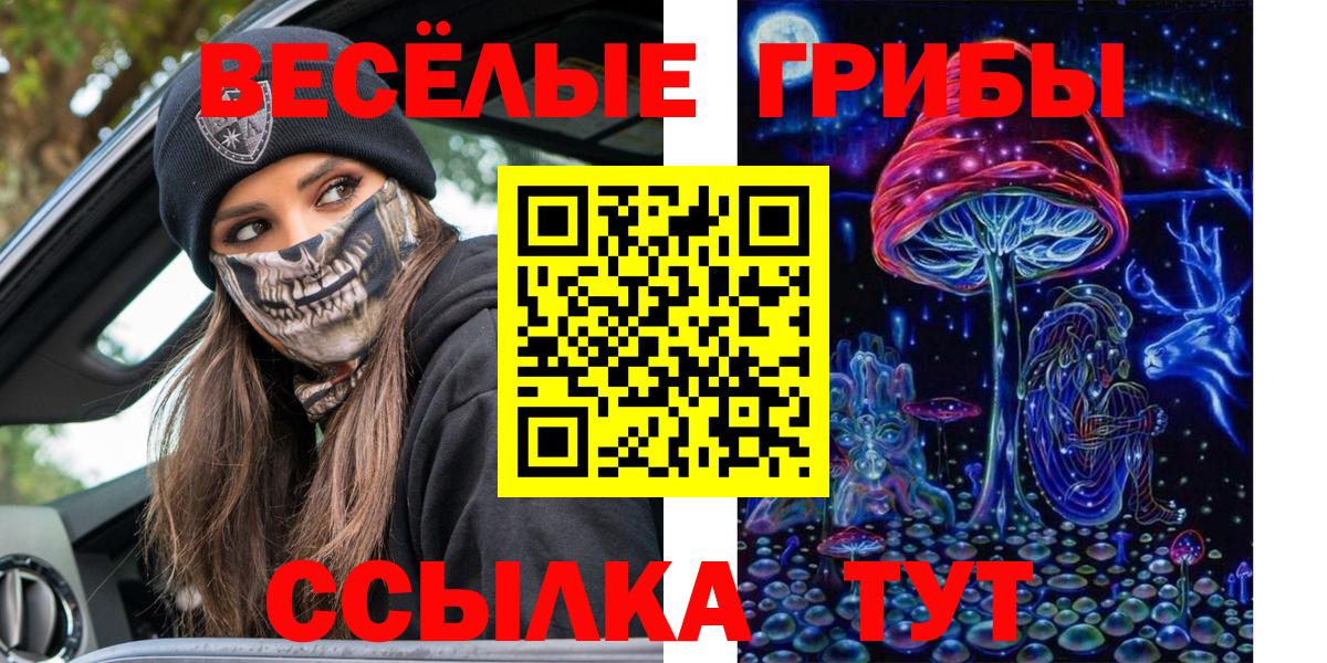 Галлюциногенные грибы Cubensis  Галлюциногенные грибы Cubensis  Вход с VPN  Солнечногорск 