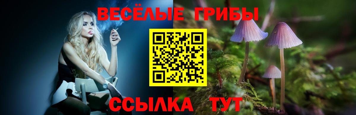 Псилоцибиновые грибы Cubensis  Солнечногорск 